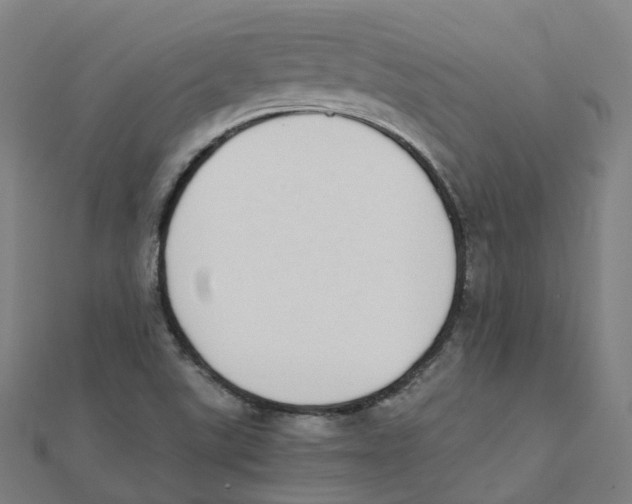 X0000111431507200908101105