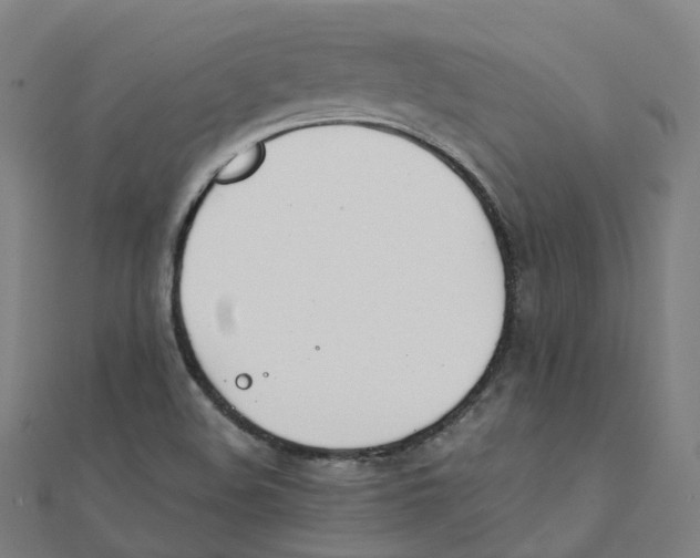 X0000111431508200908101105