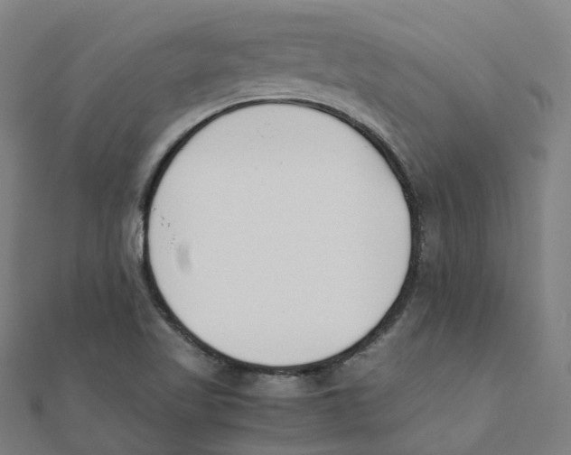 X0000111431509200908101105