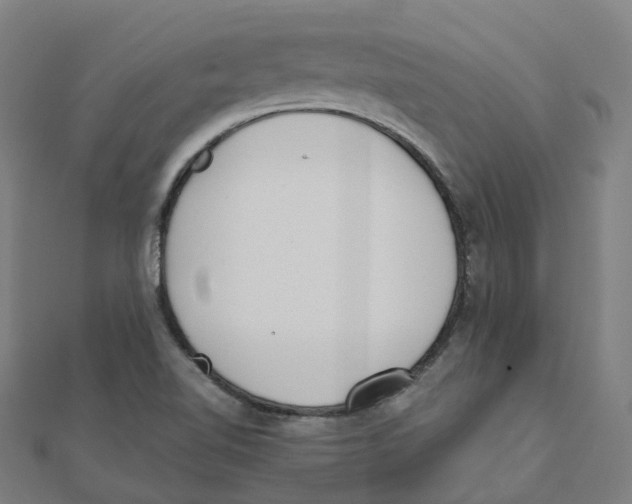 X0000111431510200908101105