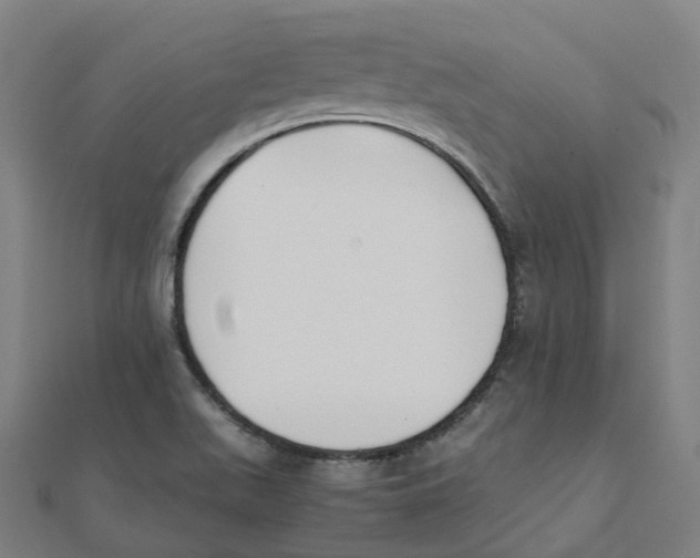 X0000111431511200908101105
