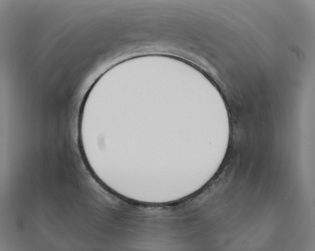 X0000111431512200908101105