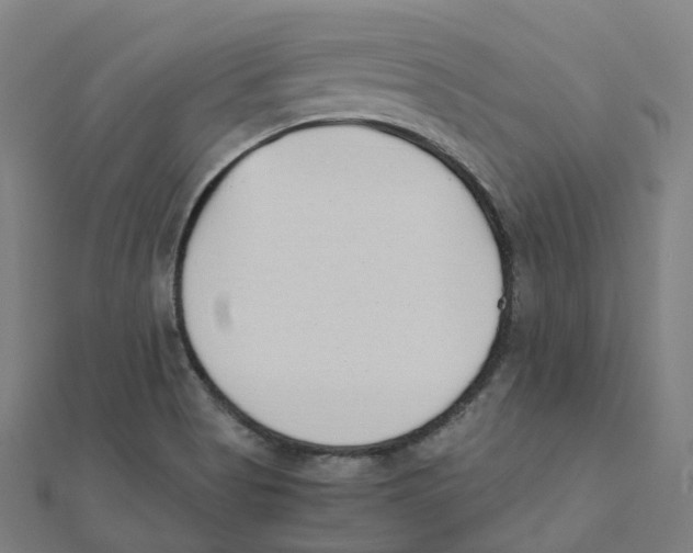 X0000111431513200908101105