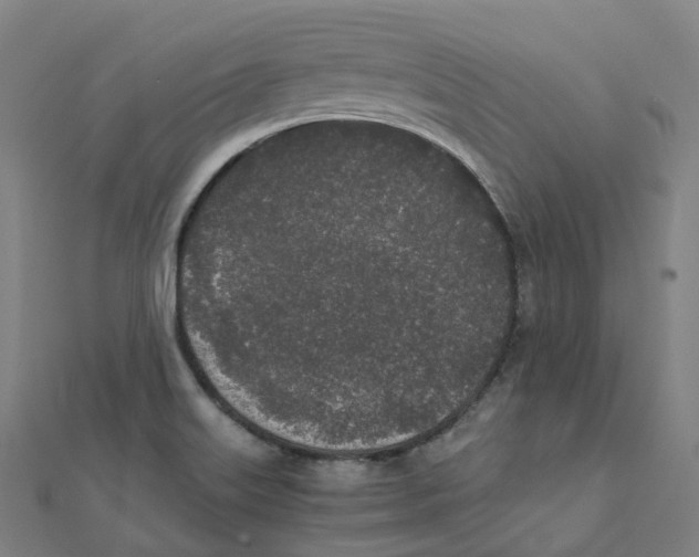 X0000111431515200908101105