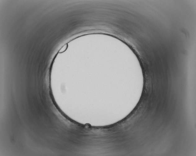 X0000111431516200908101105