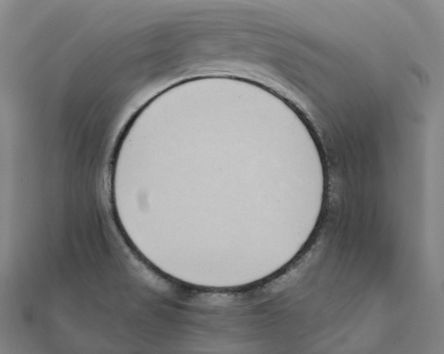 X0000111431517200908101106