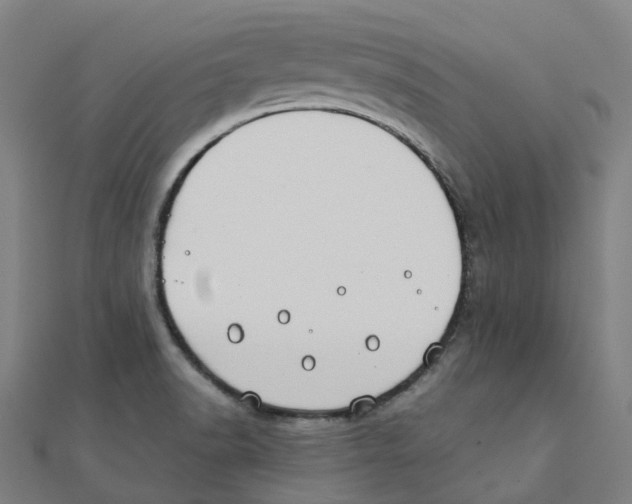 X0000111431518200908101106