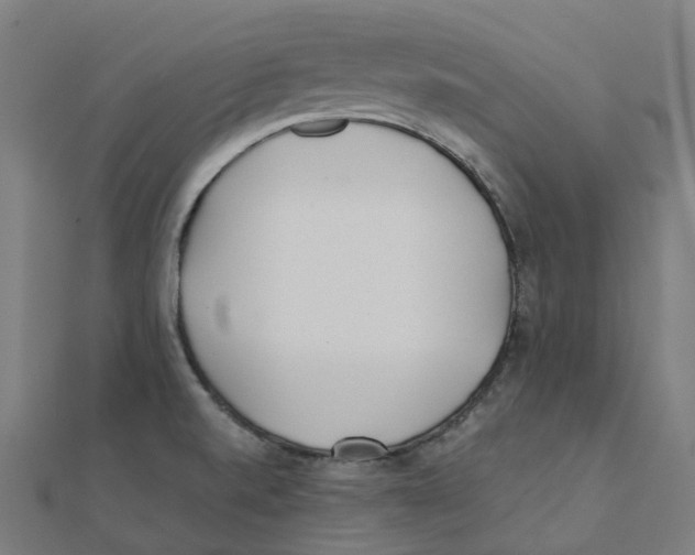 X0000111431520200908101106