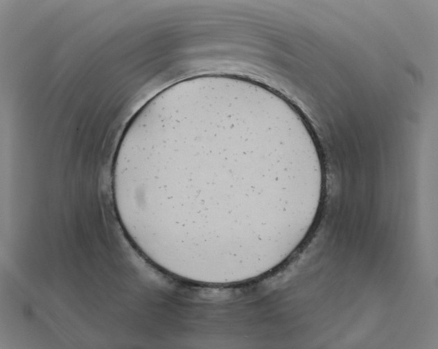 X0000111431521200908101106