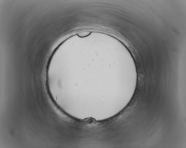 X0000111431523200908101106