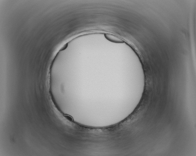 X0000111431524200908101106