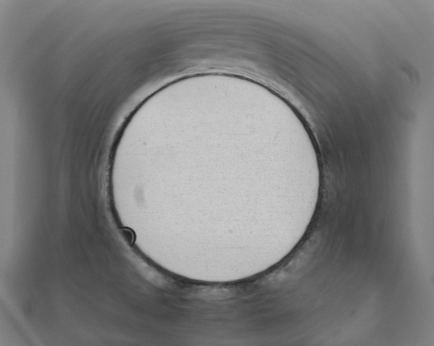 X0000111431525200908101106