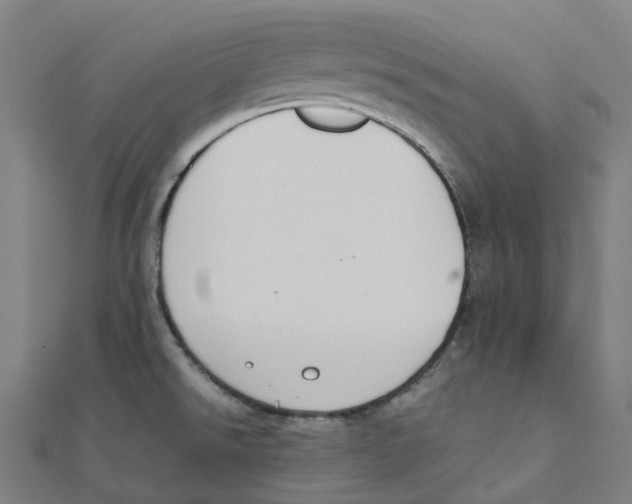 X0000111431526200908101106