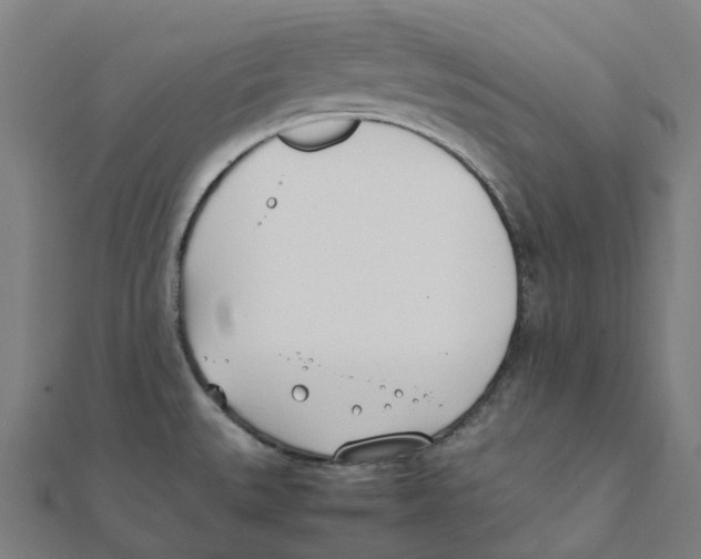 X0000111431527200908101106