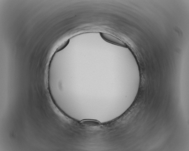 X0000111431528200908101106