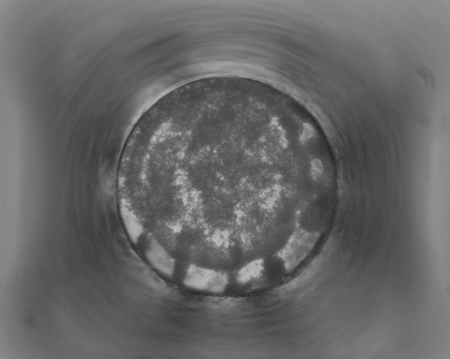 X0000111431529200908101106