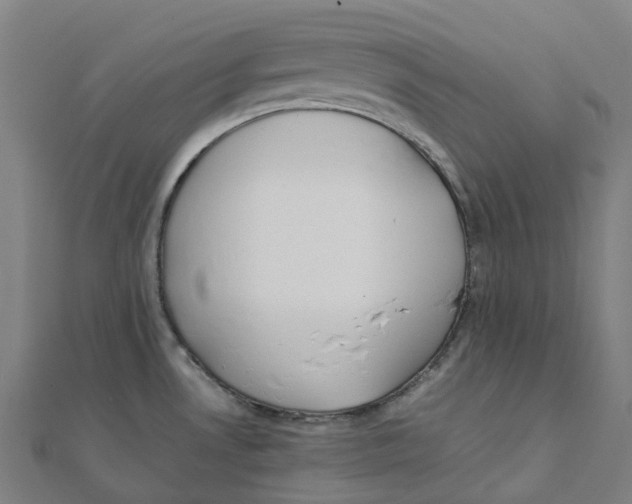 X0000111431530200908101106