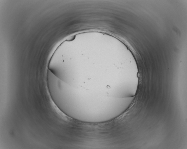 X0000111431532200908101106