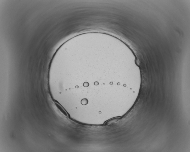 X0000111431534200908101106