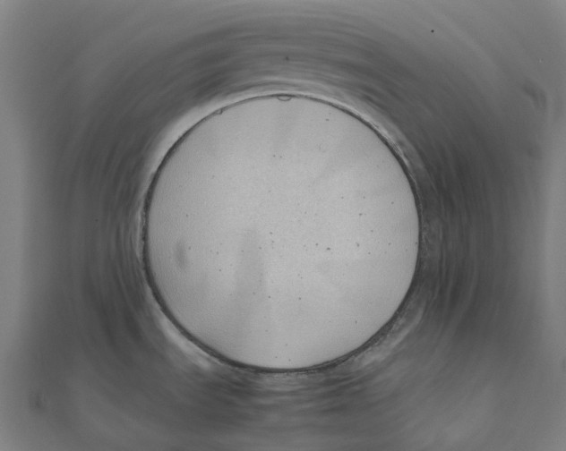 X0000111431535200908101106