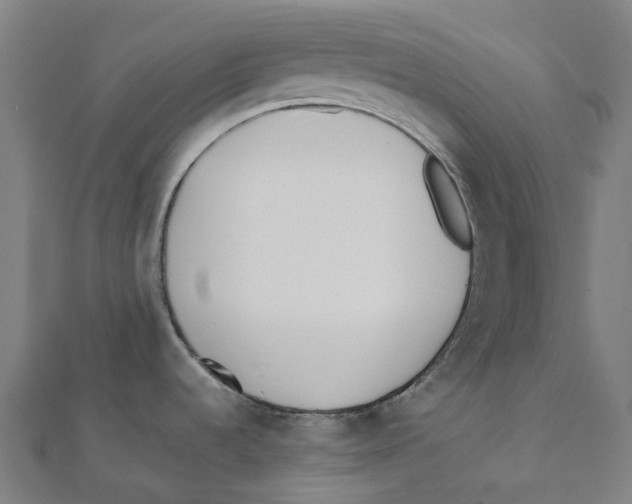 X0000111431536200908101106