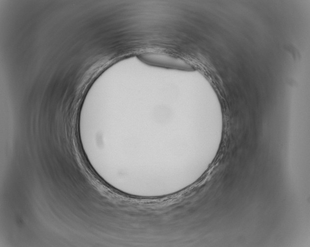 X0000111430001200908241132