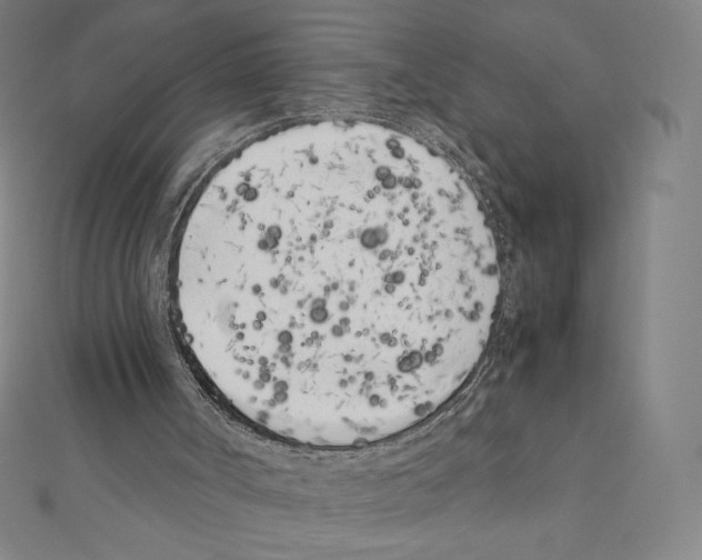 X0000111430002200908241132