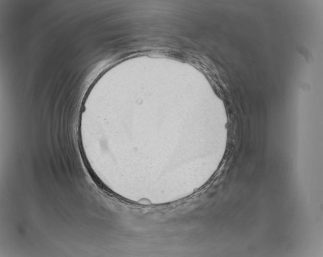 X0000111430003200908241132