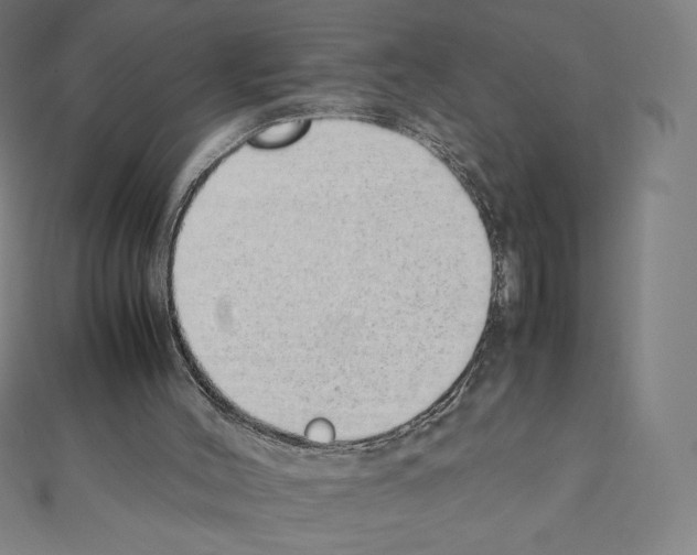 X0000111430004200908241132