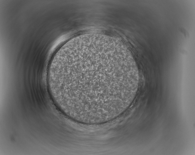 X0000111430006200908241132