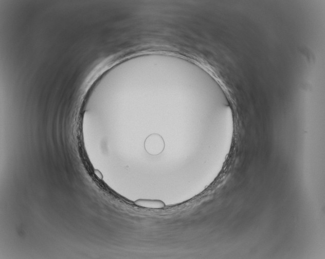 X0000111430007200908241132