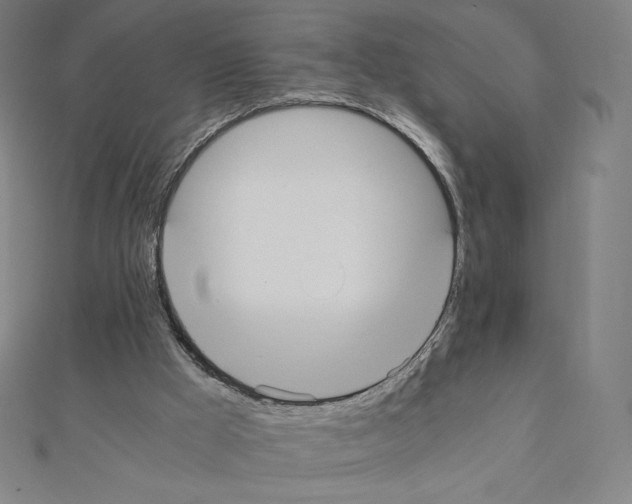 X0000111430009200908241132