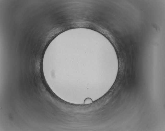 X0000111430010200908241131