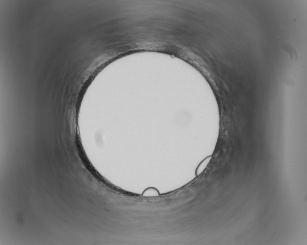 X0000111430011200908241131