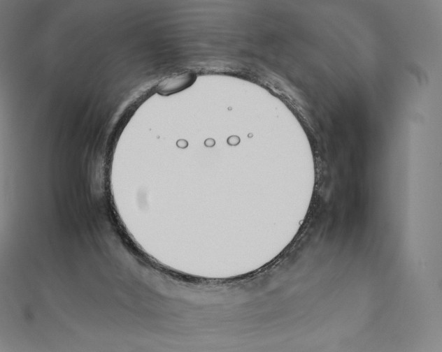 X0000111430012200908241131