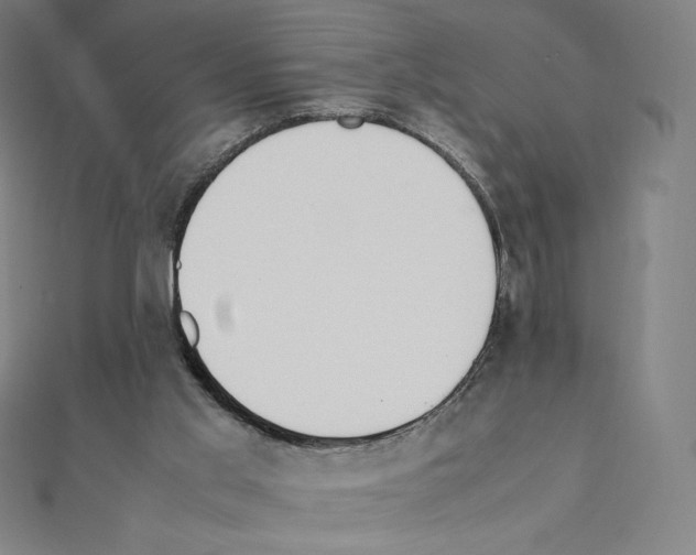 X0000111430013200908241131