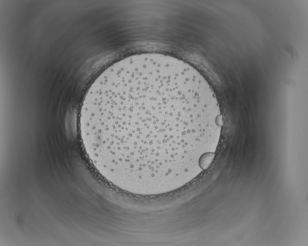 X0000111430014200908241131
