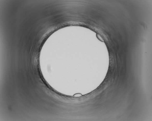 X0000111430015200908241131
