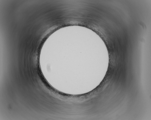 X0000111430016200908241131