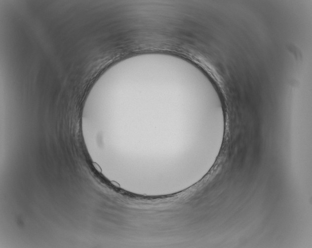 X0000111430017200908241131
