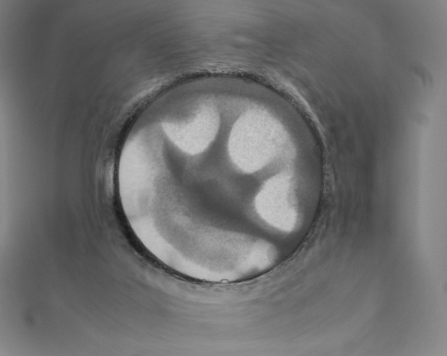 X0000111430019200908241131