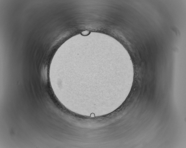 X0000111430020200908241131
