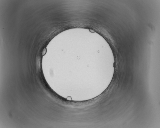X0000111430021200908241131