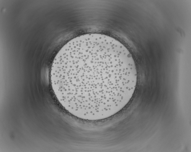 X0000111430022200908241131