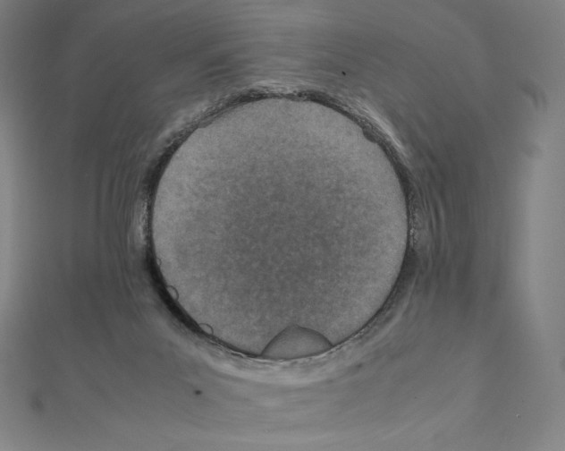 X0000111430023200908241131