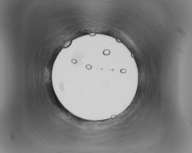 X0000111430025200908241131