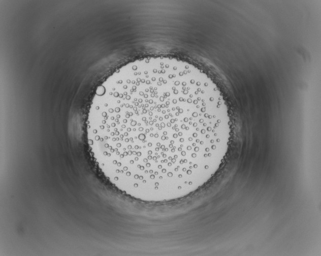 X0000111430026200908241131