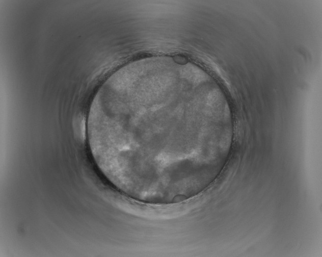 X0000111430027200908241131