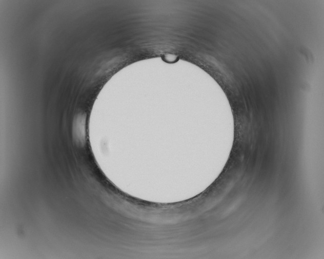 X0000111430028200908241131