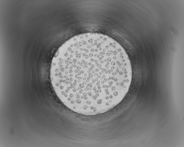 X0000111430030200908241131